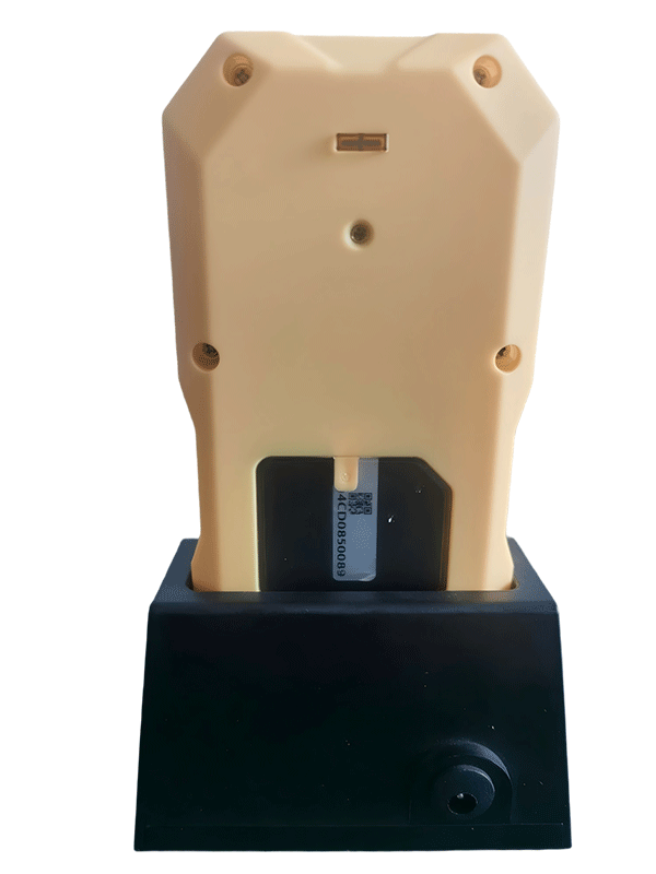 美女的隐藏部位是什么图片