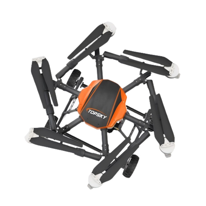 美女的隐藏部位是什么图片