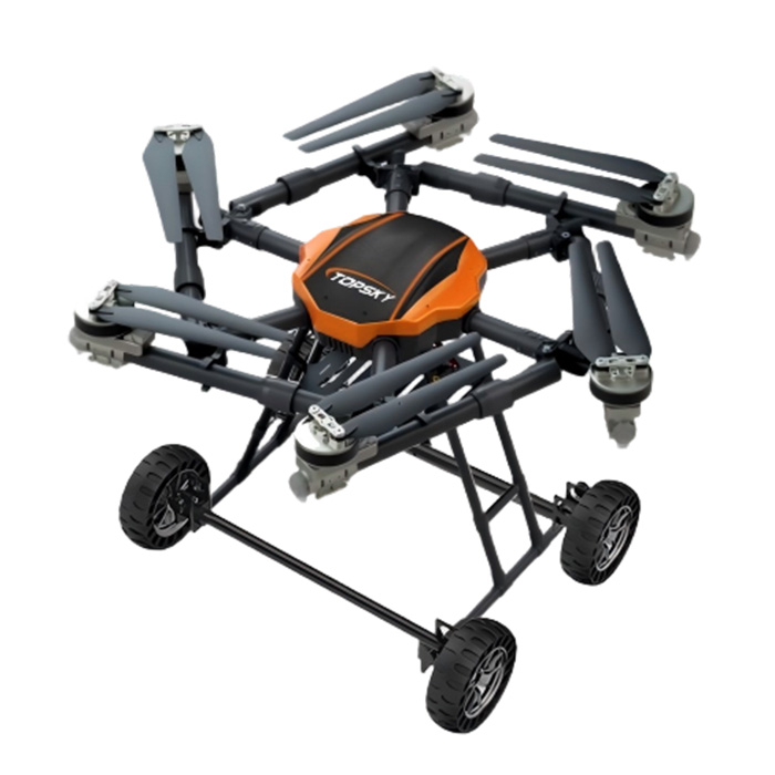 美女的隐藏部位是什么图片