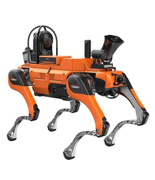 美女的隐藏部位是什么图片