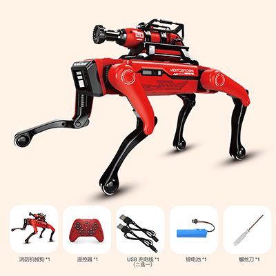 美女的隐藏部位是什么图片