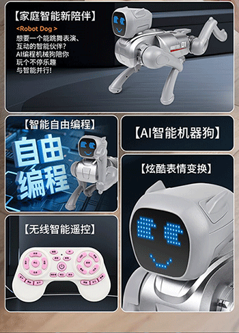 美女的隐藏部位是什么图片