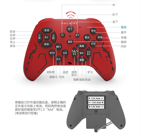 美女的隐藏部位是什么图片