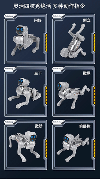 美女的隐藏部位是什么图片