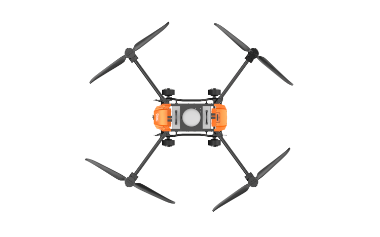 美女的隐藏部位是什么图片