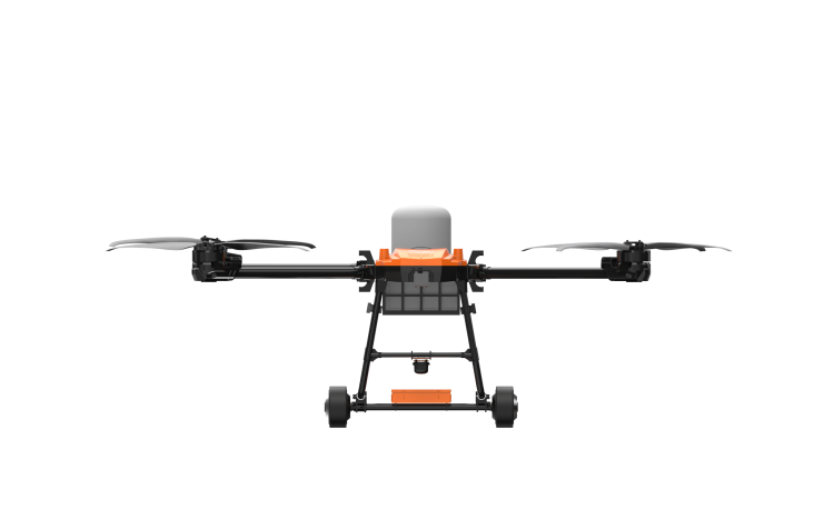 美女的隐藏部位是什么图片