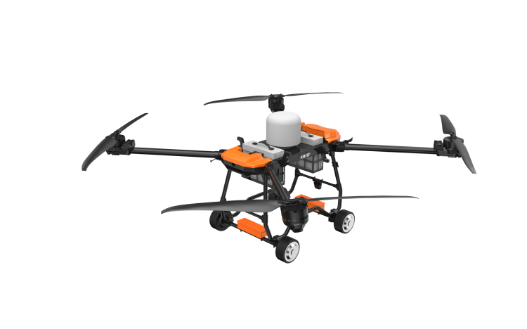 美女的隐藏部位是什么图片