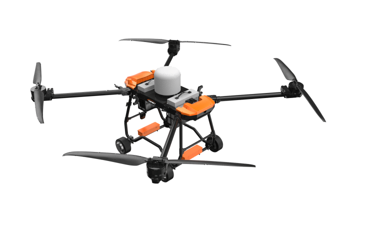 美女的隐藏部位是什么图片