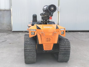 美女的隐藏部位是什么图片