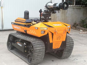 美女的隐藏部位是什么图片