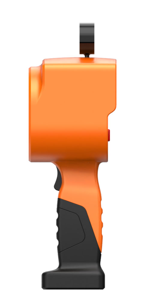 美女的隐藏部位是什么图片