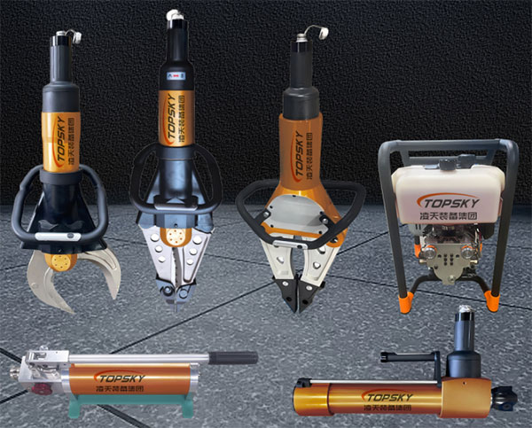 美女的隐藏部位是什么图片