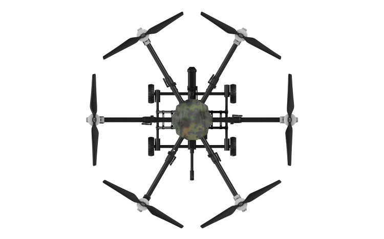 美女的隐藏部位是什么图片