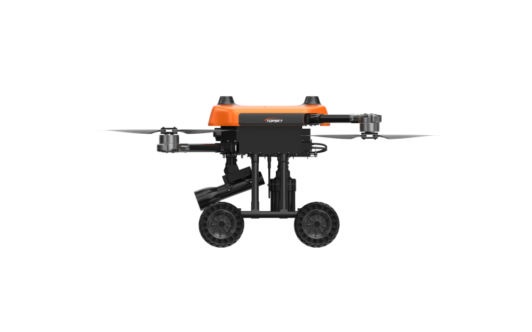 美女的隐藏部位是什么图片