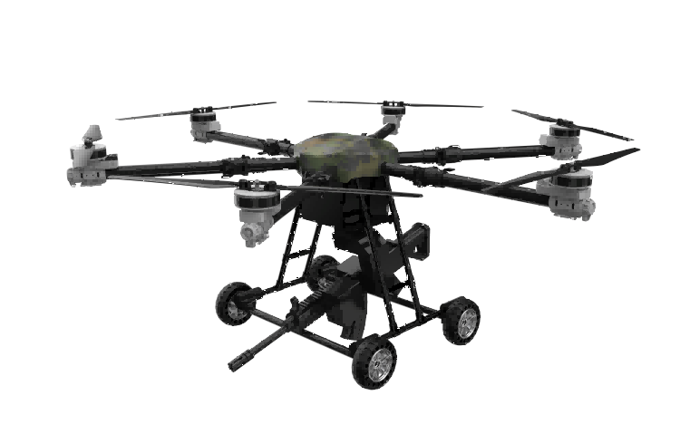 美女的隐藏部位是什么图片