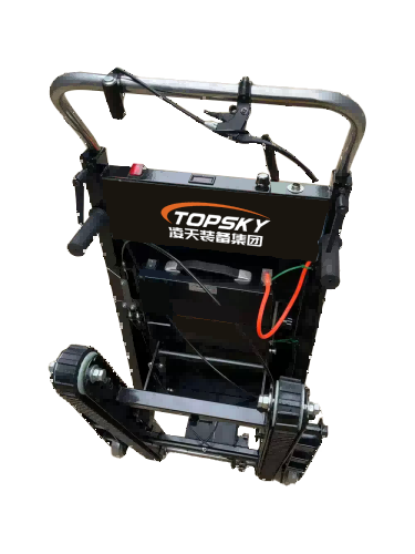 美女的隐藏部位是什么图片