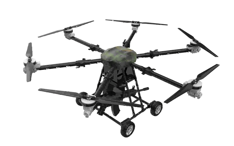 美女的隐藏部位是什么图片