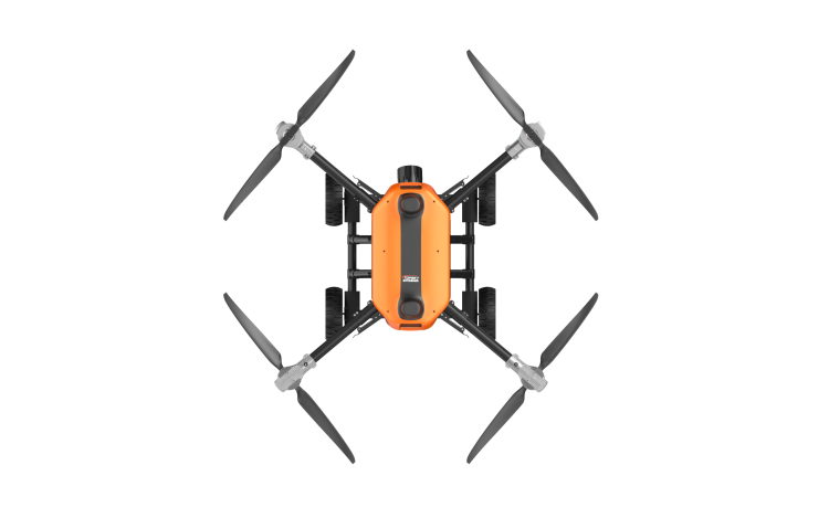 美女的隐藏部位是什么图片