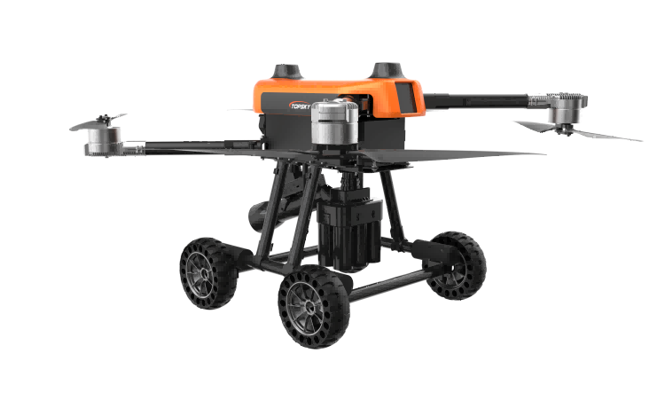 美女的隐藏部位是什么图片