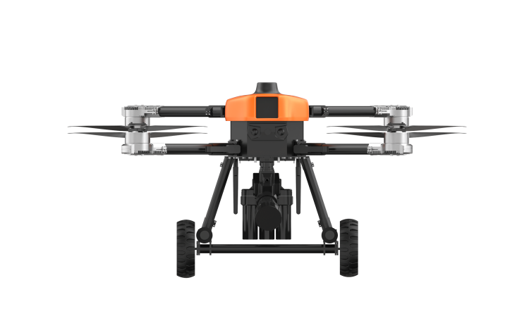 美女的隐藏部位是什么图片