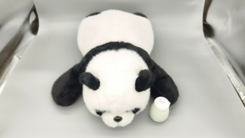 美女的隐藏部位是什么图片