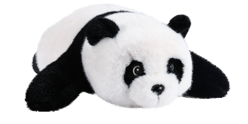 美女的隐藏部位是什么图片