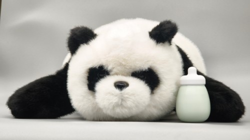 美女的隐藏部位是什么图片