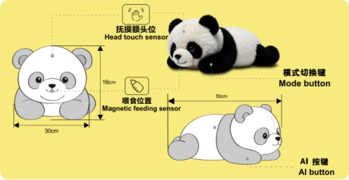 美女的隐藏部位是什么图片