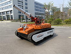 美女的隐藏部位是什么图片