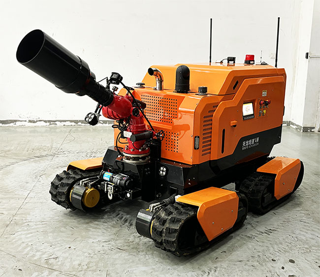 美女的隐藏部位是什么图片