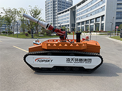 美女的隐藏部位是什么图片