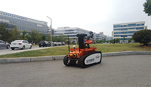 美女的隐藏部位是什么图片