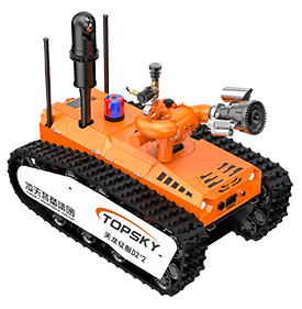 美女的隐藏部位是什么图片