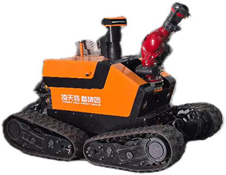 美女的隐藏部位是什么图片