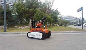 美女的隐藏部位是什么图片