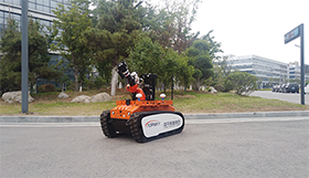 美女的隐藏部位是什么图片