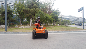 美女的隐藏部位是什么图片