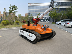 美女的隐藏部位是什么图片