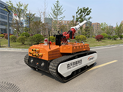 美女的隐藏部位是什么图片