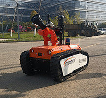 美女的隐藏部位是什么图片