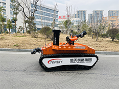 美女的隐藏部位是什么图片