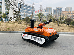 美女的隐藏部位是什么图片