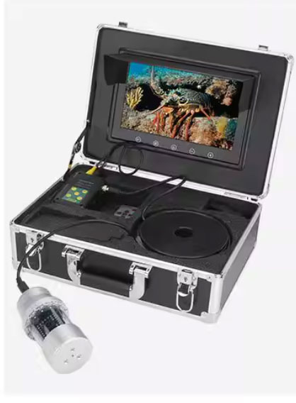 美女的隐藏部位是什么图片