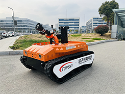 美女的隐藏部位是什么图片