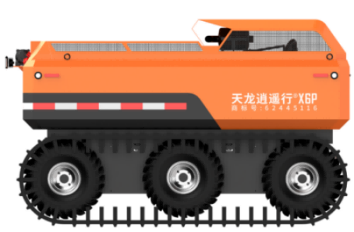 美女的隐藏部位是什么图片