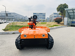 美女的隐藏部位是什么图片