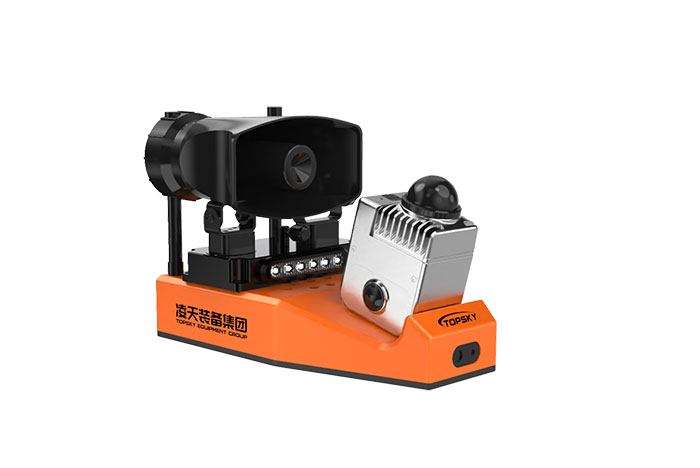 美女的隐藏部位是什么图片