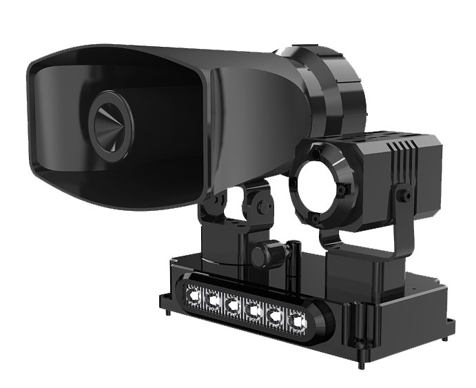 美女的隐藏部位是什么图片