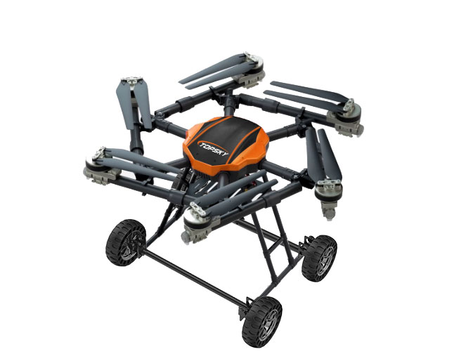 美女的隐藏部位是什么图片