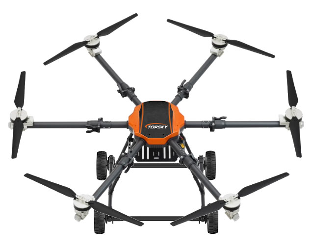 美女的隐藏部位是什么图片